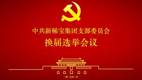 新稀宝党支部换届会议顺利召开