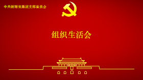 新稀宝党支部召开2024年度组织生活会及民主评议党员会议